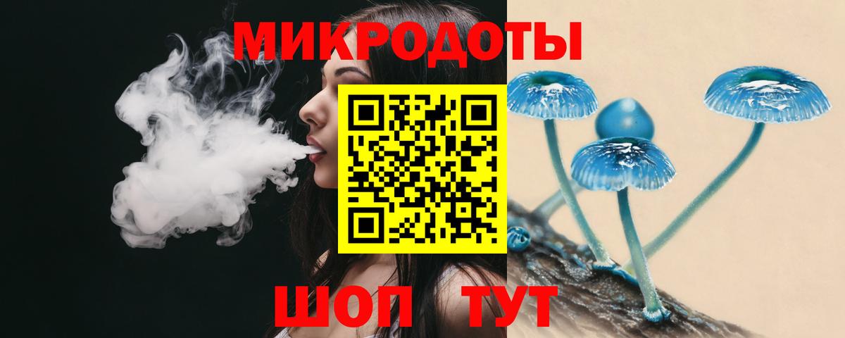 Псилоцибиновые грибы Psilocybine cubensis  Вход с VPN  Ялуторовск 